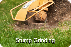 stump_Grinding_Services_MA